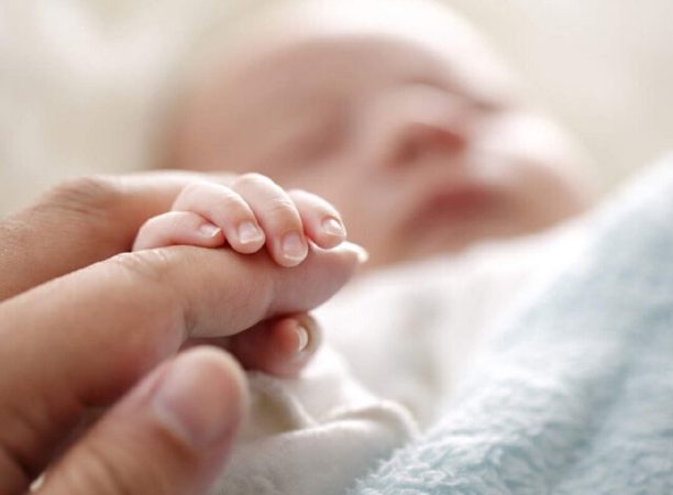 ۱۳ هزار نوزاد امسال در قم به دنیا آمد
