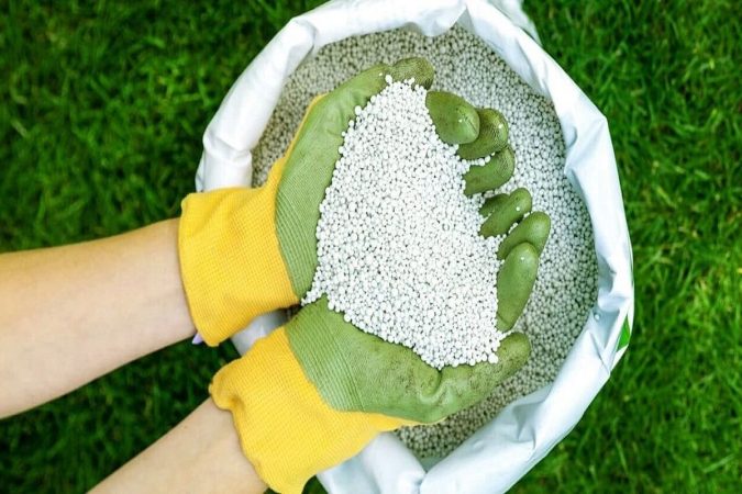 توزیع ۱۸ هزار تن کود یارانه‌ای در قم