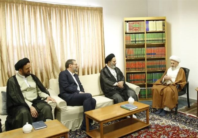 در دیدار سرپرست حجاج ایرانی با مراجع عظام تقلید چه گذشت؟