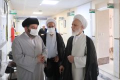 دیدار رئیس دفتر رهبری با آیت‌الله شبیری زنجانی